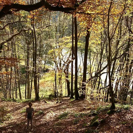 Belvedere Nyaraló