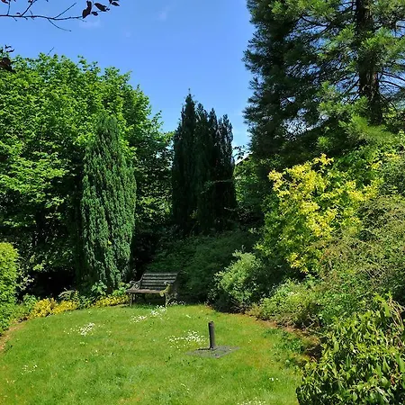 Belvedere デュルビュイ