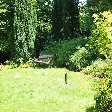 Belvedere デュルビュイ